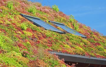 Cupernham living roof systems